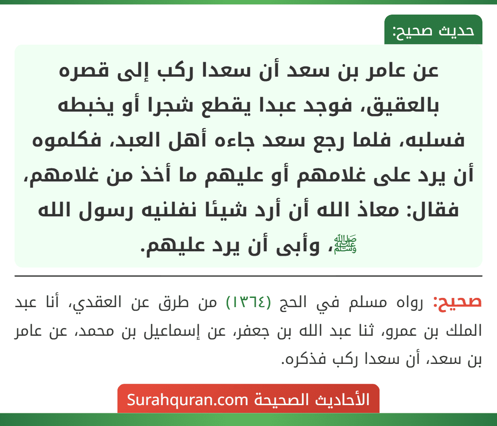 عن عامر بن سعد أن سعدا ركب إلى قصره بالعقيق، فوجد عبدا يقطع شجرا أو يخبطه فسلبه، فلما رجع سعد جاءه أهل العبد، فكلموه أن يرد على غلامهم أو عليهم ما أخذ من غلامهم، فقال: معاذ الله أن أرد شيئا نفلنيه رسول الله ﷺ، وأبى أن يرد عليهم.