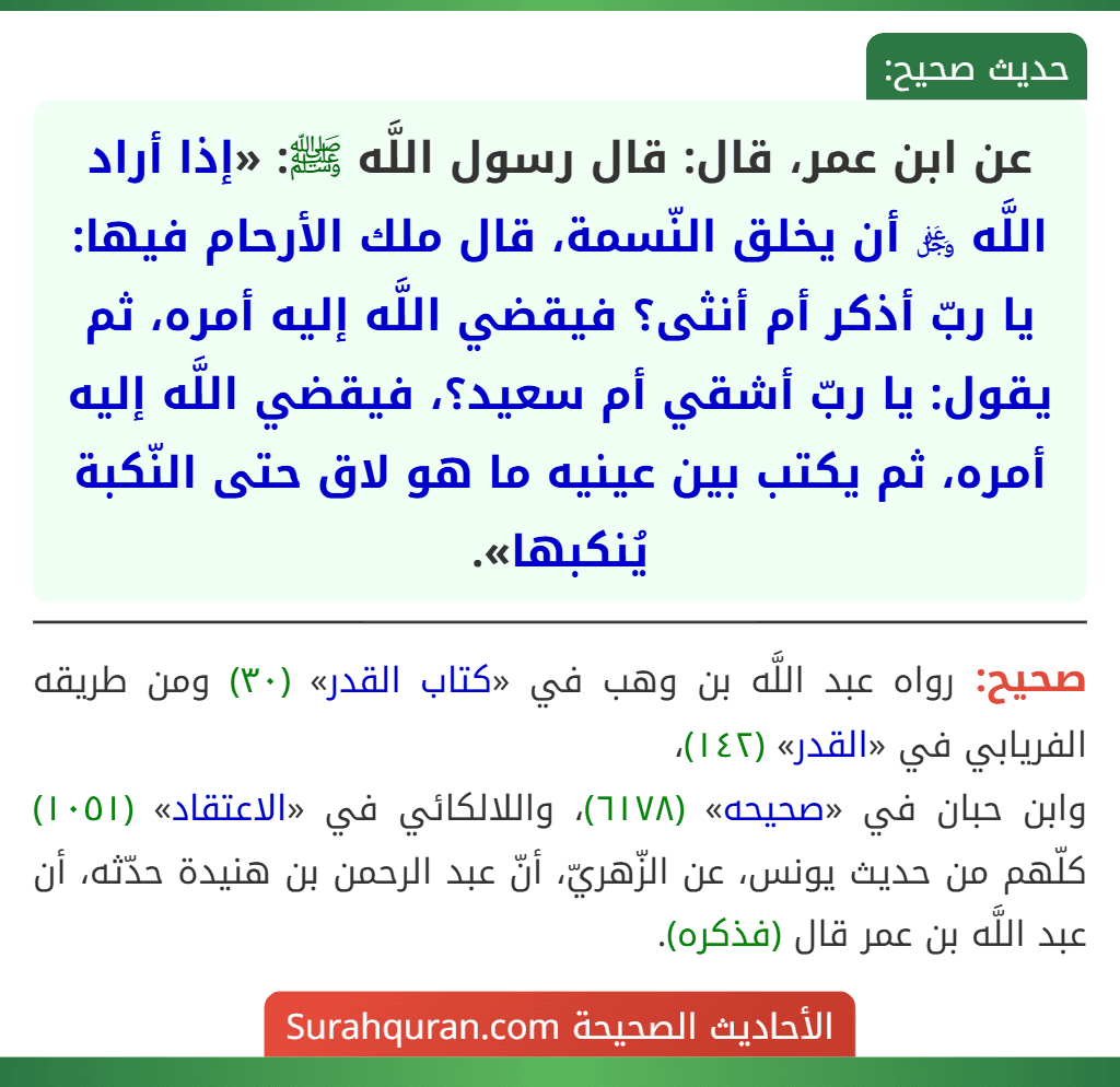 عن ابن عمر، قال: قال رسول اللَّه ﷺ: «إذا أراد اللَّه ﷿ أن يخلق النّسمة، قال ملك الأرحام فيها: يا ربّ أذكر أم أنثى؟ فيقضي اللَّه إليه أمره، ثم يقول: يا ربّ أشقي أم سعيد؟، فيقضي اللَّه إليه أمره، ثم يكتب بين عينيه ما هو لاق حتى النّكبة يُنكبها». عن ابن عمر، قال: قال رسول اللَّه ﷺ: «إذا أراد اللَّه ﷿ أن يخلق النّسمة، قال ملك الأرحام فيها: يا ربّ أذكر أم أنثى؟ فيقضي اللَّه إليه أمره، ثم يقول: يا ربّ أشقي أم سعيد؟، فيقضي اللَّه إليه أمره، ثم يكتب بين عينيه ما هو لاق حتى النّكبة يُنكبها».