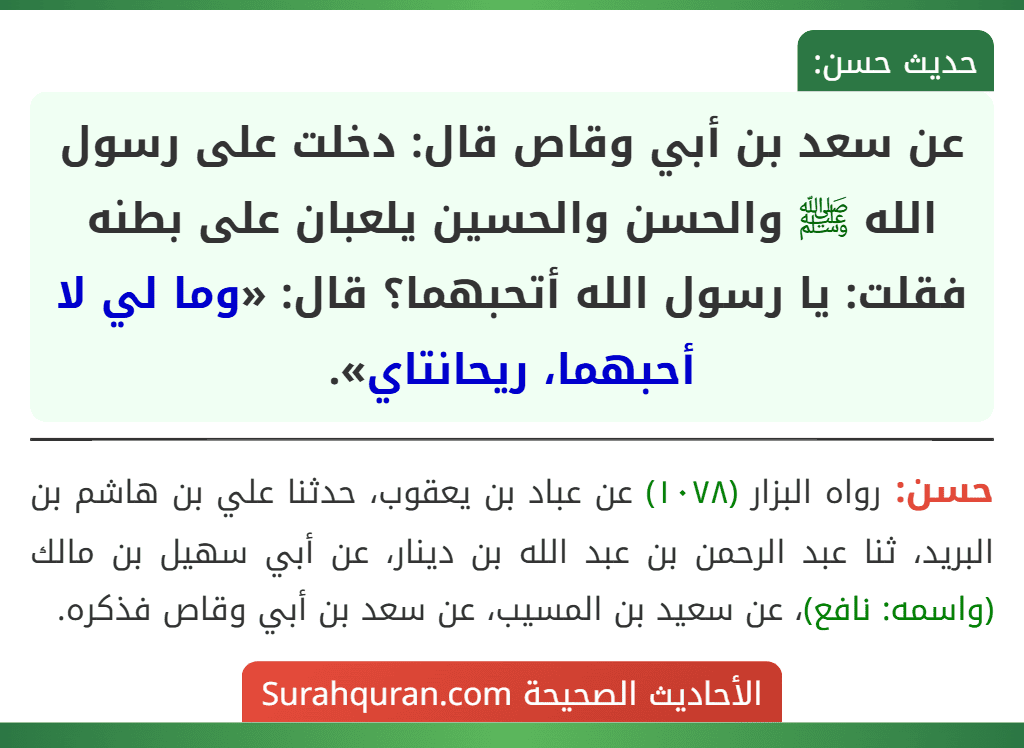 عن سعد بن أبي وقاص قال: دخلت على رسول الله ﷺ والحسن والحسين يلعبان على بطنه فقلت: يا رسول الله أتحبهما؟ قال: «وما لي لا أحبهما، ريحانتاي».