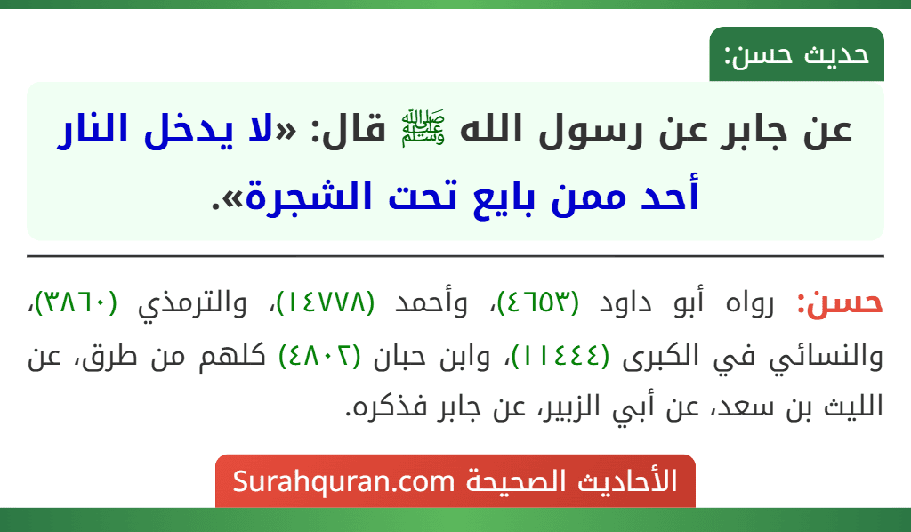 عن جابر عن رسول الله ﷺ قال: «لا يدخل النار أحد ممن بايع تحت الشجرة».