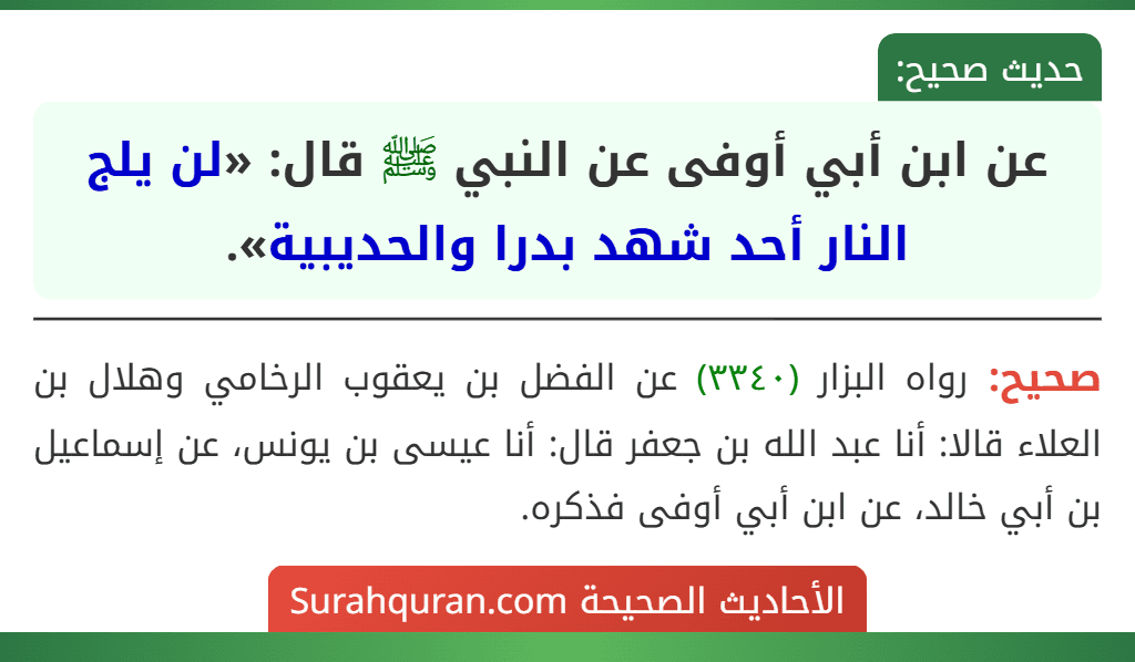 عن ابن أبي أوفى عن النبي ﷺ قال: «لن يلج النار أحد شهد بدرا والحديبية».