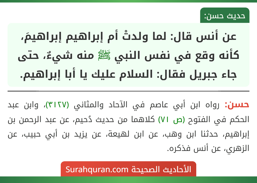 عن أنس قال: لما ولدتْ أم إبراهيم إبراهيمَ، كأنه وقع في نفس النبي ﷺ منه شيءٌ، حتى جاء جبريل فقال: السلام عليك يا أبا إبراهيم.