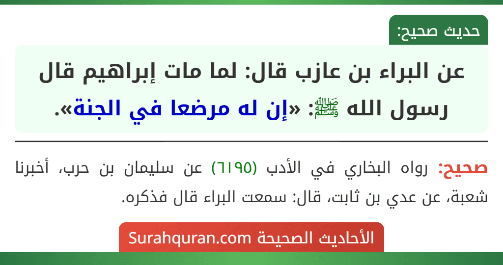 عن البراء بن عازب قال: لما مات إبراهيم قال رسول الله ﷺ: «إن له مرضعا في الجنة».