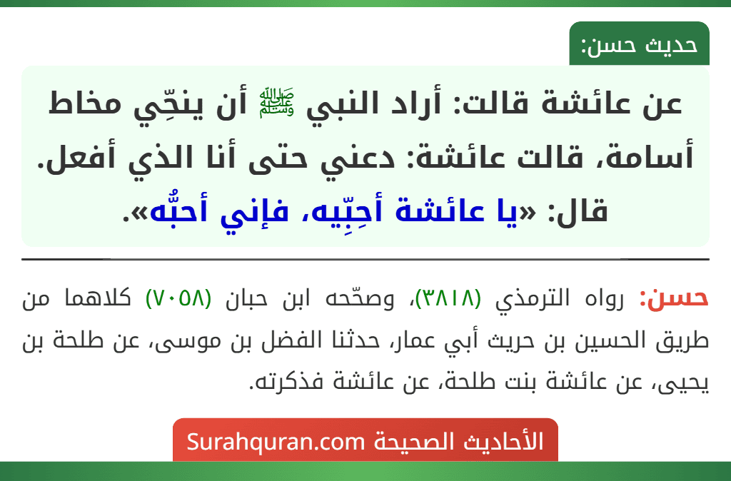 عن عائشة قالت: أراد النبي ﷺ أن ينحِّي مخاط أسامة، قالت عائشة: دعني حتى أنا الذي أفعل. قال: «يا عائشة أحِبِّيه، فإني أحبُّه».