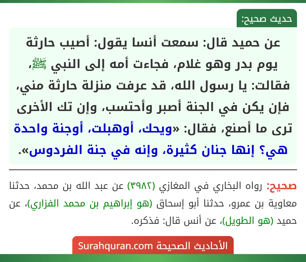 عن حميد قال: سمعت أنسا يقول: أصيب حارثة يوم بدر وهو غلام، فجاءت أمه إلى النبي ﷺ، فقالت: يا رسول الله، قد عرفت منزلة حارثة مني، فإن يكن في الجنة أصبر وأحتسب، وإن تك الأخرى ترى ما أصنع، فقال: «ويحك، أوهبلت، أوجنة واحدة هي؟ إنها جنان كثيرة، وإنه في جنة الفردوس».