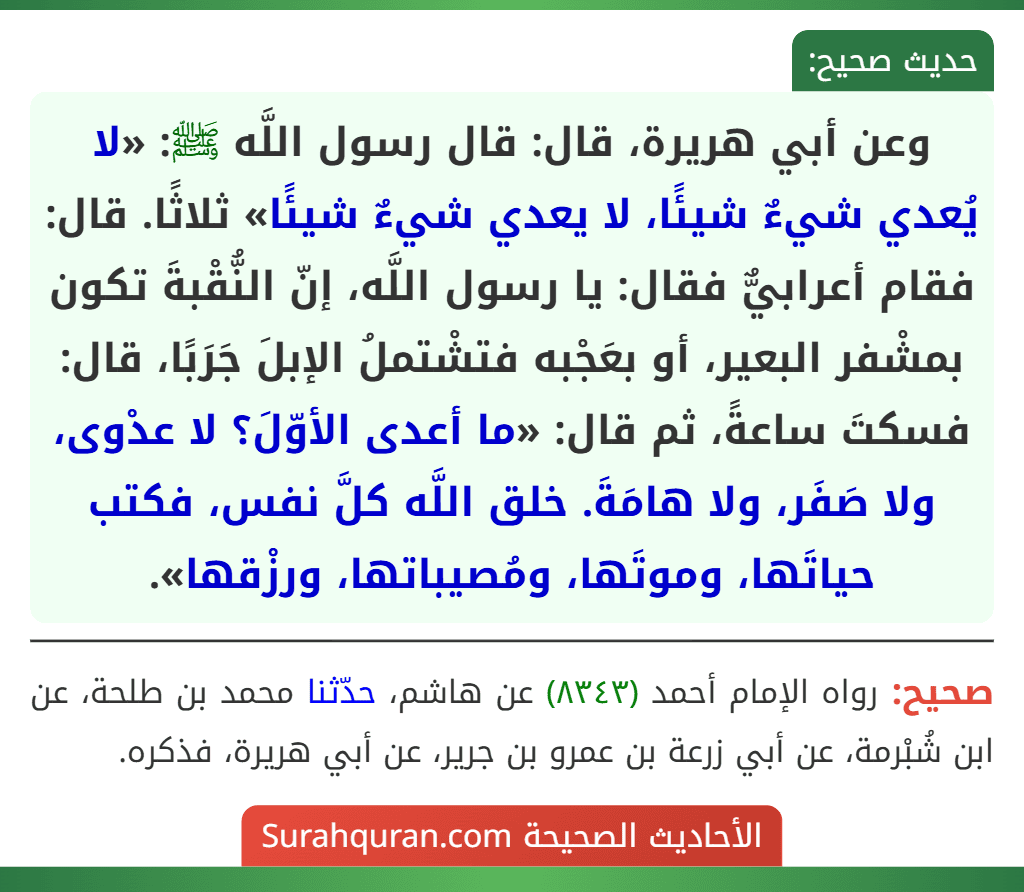 وعن أبي هريرة، قال: قال رسول اللَّه ﷺ: «لا يُعدي شيءٌ شيئًا، لا يعدي شيءٌ شيئًا» ثلاثًا. قال: فقام أعرابيٌّ فقال: يا رسول اللَّه، إنّ النُّقْبةَ تكون بمشْفر البعير، أو بعَجْبه فتشْتملُ الإبلَ جَرَبًا، قال: فسكتَ ساعةً، ثم قال: «ما أعدى الأوّلَ؟ لا عدْوى، ولا صَفَر، ولا هامَةَ. خلق اللَّه كلَّ نفس، فكتب حياتَها، وموتَها، ومُصيباتها، ورزْقها».