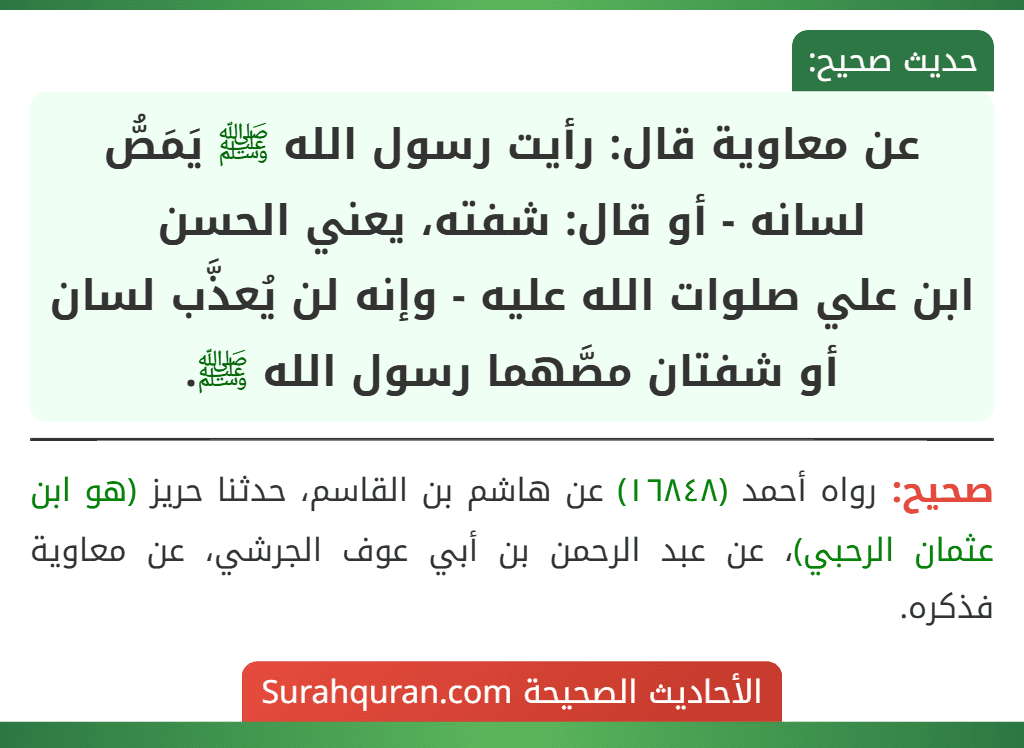 عن معاوية قال: رأيت رسول الله ﷺ يَمَصُّ لسانه - أو قال: شفته، يعني الحسن
ابن علي صلوات الله عليه - وإنه لن يُعذَّب لسان أو شفتان مصَّهما رسول الله ﷺ.