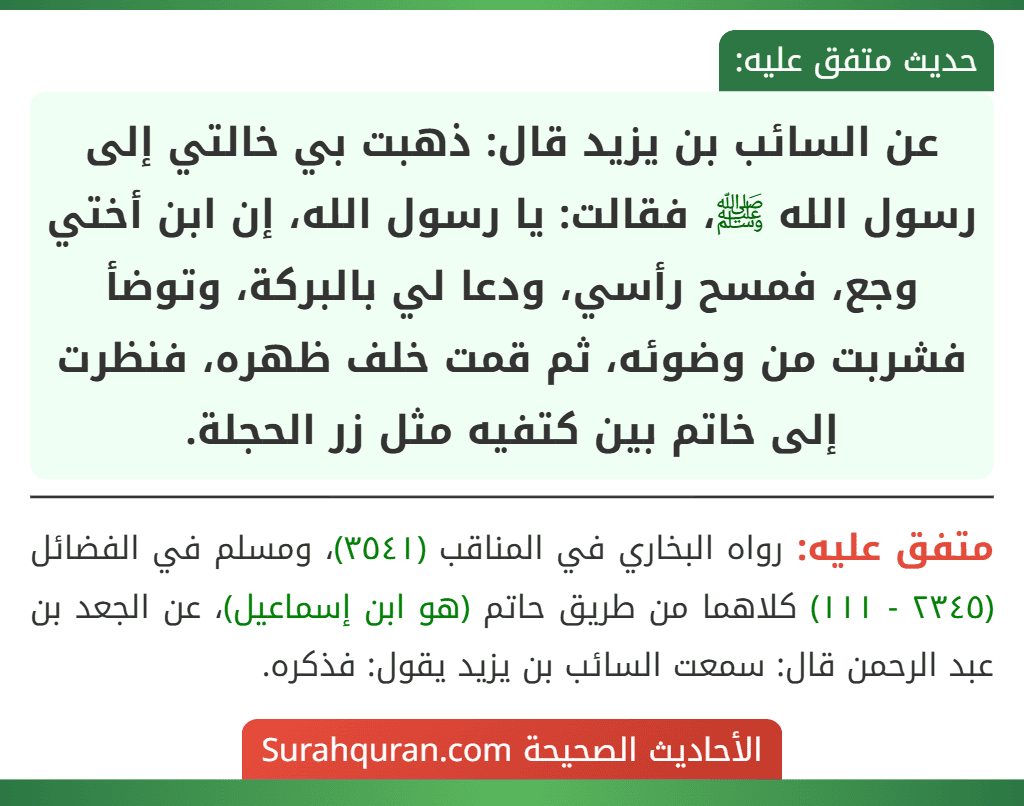 عن السائب بن يزيد قال: ذهبت بي خالتي إلى رسول الله ﷺ، فقالت: يا رسول الله، إن ابن أختي وجع، فمسح رأسي، ودعا لي بالبركة، وتوضأ فشربت من وضوئه، ثم قمت خلف ظهره، فنظرت إلى خاتم بين كتفيه مثل زر الحجلة.