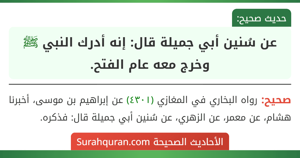 عن سُنين أبي جميلة قال: إنه أدرك النبي ﷺ وخرج معه عام الفتح.