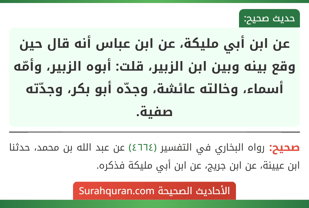 عن ابن أبي مليكة، عن ابن عباس أنه قال حين وقع بينه وبين ابن الزبير، قلت: أبوه الزبير، وأمّه أسماء، وخالته عائشة، وجدّه أبو بكر، وجدّته صفية.