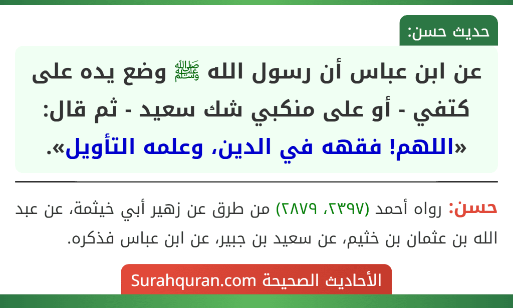 عن ابن عباس أن رسول الله ﷺ وضع يده على كتفي - أو على منكبي شك سعيد - ثم قال: «اللهم! فقهه في الدين، وعلمه التأويل».