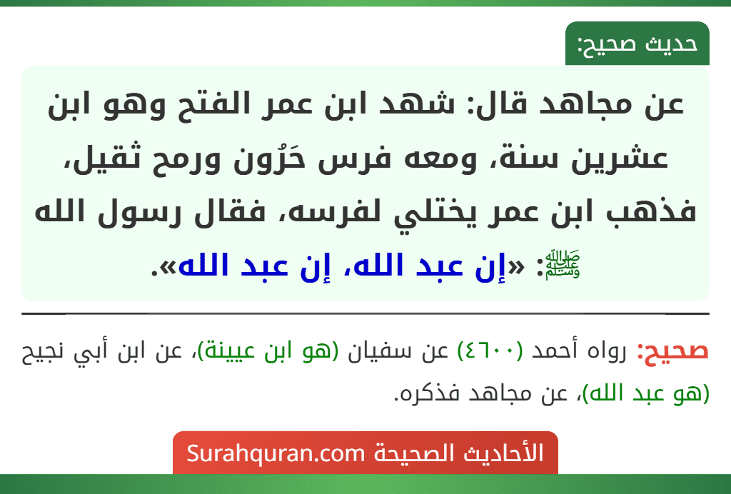 عن مجاهد قال: شهد ابن عمر الفتح وهو ابن عشرين سنة، ومعه فرس حَرُون ورمح ثقيل، فذهب ابن عمر يختلي لفرسه، فقال رسول الله ﷺ: «إن عبد الله، إن عبد الله».