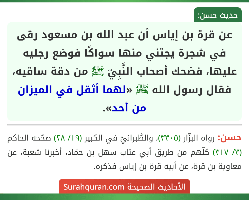 عن قرة بن إياس أن عبد الله بن مسعود رقى في شجرة يجتني منها سواكًا فوضع رجليه عليها، فضحك أصحاب النَّبِيّ ﷺ من دقة ساقيه، فقال رسول الله ﷺ «لهما أثقل في الميزان من أحد».
