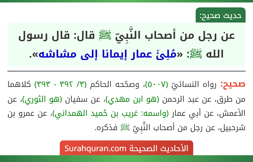 عن رجل من أصحاب النَّبِيّ ﷺ قال: قال رسول الله ﷺ: «مُلِئَ عمار إيمانا إلى مشاشه».