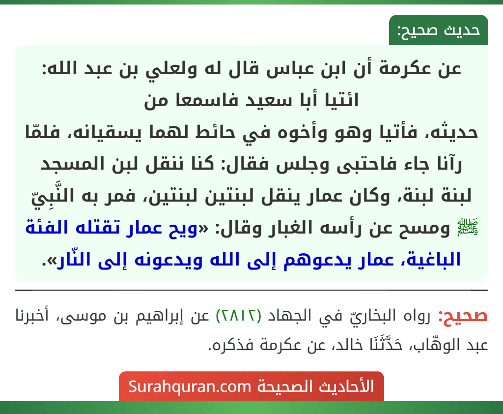 عن عكرمة أن ابن عباس قال له ولعلي بن عبد الله: ائتيا أبا سعيد فاسمعا من
حديثه، فأتيا وهو وأخوه في حائط لهما يسقيانه، فلمّا رآنا جاء فاحتبى وجلس فقال: كنا ننقل لبن المسجد لبنة لبنة، وكان عمار ينقل لبنتين لبنتين، فمر به النَّبِيّ ﷺ ومسح عن رأسه الغبار وقال: «ويح عمار تقتله الفئة الباغية، عمار يدعوهم إلى الله ويدعونه إلى النّار».