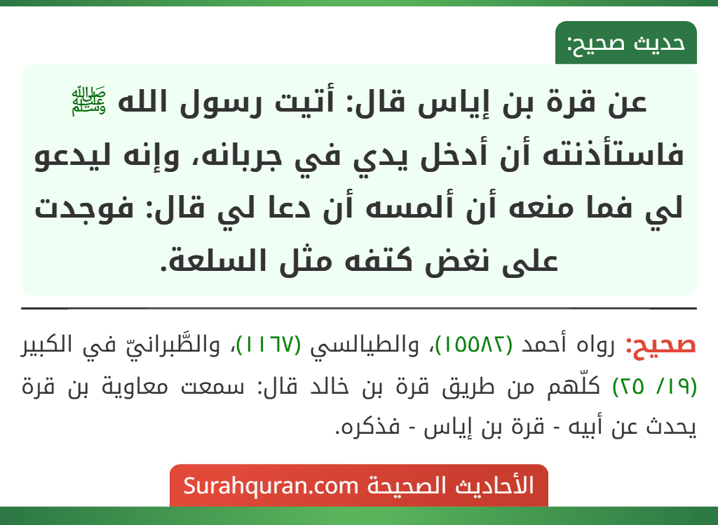 عن قرة بن إياس قال: أتيت رسول الله ﷺ فاستأذنته أن أدخل يدي في جربانه، وإنه ليدعو لي فما منعه أن ألمسه أن دعا لي قال: فوجدت على نغض كتفه مثل السلعة.