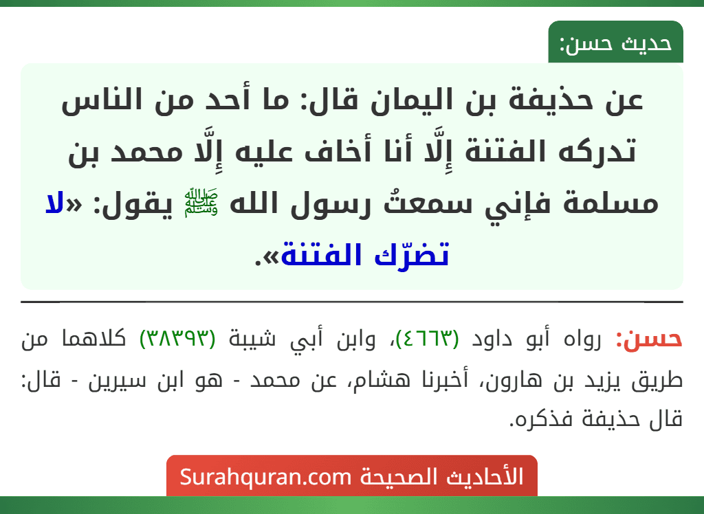 عن حذيفة بن اليمان قال: ما أحد من الناس تدركه الفتنة إِلَّا أنا أخاف عليه إِلَّا محمد بن مسلمة فإني سمعتُ رسول الله ﷺ يقول: «لا تضرّك الفتنة».