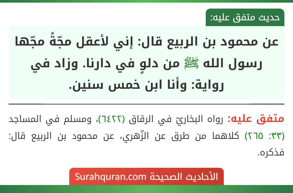 عن محمود بن الربيع قال: إني لأعقل مجّةً مجّها رسول الله ﷺ من دلوٍ في دارنا. وزاد في رواية: وأنا ابن خمس سنين.