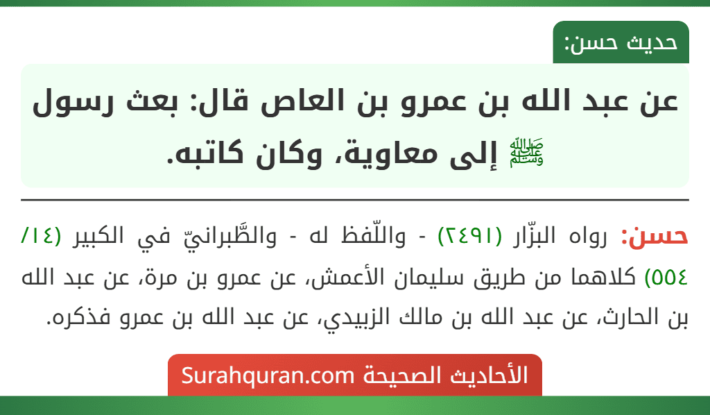 عن عبد الله بن عمرو بن العاص قال: بعث رسول ﷺ إلى معاوية، وكان كاتبه.