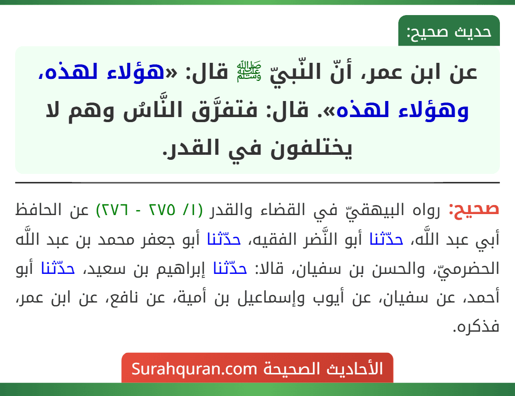 عن ابن عمر، أنّ النّبيّ ﷺ قال: «هؤلاء لهذه، وهؤلاء لهذه». قال: فتفرَّق النَّاسُ وهم لا يختلفون في القدر.
