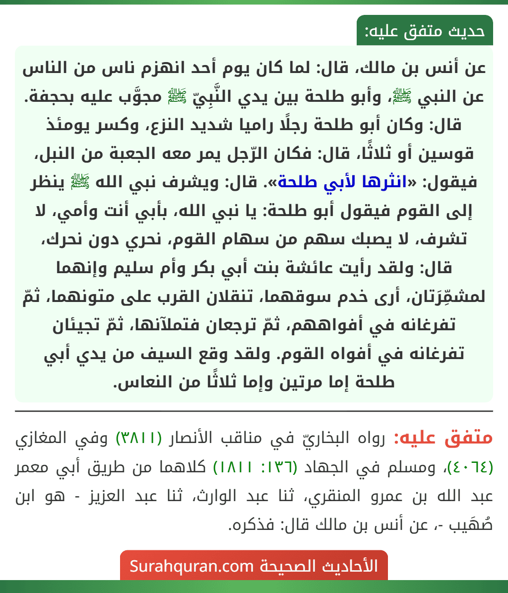 عن أنس بن مالك، قال: لما كان يوم أحد انهزم ناس من الناس عن النبي ﷺ، وأبو طلحة بين يدي النَّبِيّ ﷺ مجوَّب عليه بحجفة. قال: وكان أبو طلحة رجلًا راميا شديد النزع، وكسر يومئذ قوسين أو ثلاثًا، قال: فكان الرّجل يمر معه الجعبة من النبل، فيقول: «انثرها لأبي طلحة». قال: ويشرف نبي الله ﷺ ينظر إلى القوم فيقول أبو طلحة: يا نبي الله، بأبي أنت وأمي، لا تشرف، لا يصبك سهم من سهام القوم، نحري دون نحرك، قال: ولقد رأيت عائشة بنت أبي بكر وأم سليم وإنهما لمشمِّرَتان، أرى خدم سوقهما، تنقلان القرب على متونهما، ثمّ تفرغانه في أفواههم، ثمّ ترجعان فتملآنها، ثمّ تجيئان تفرغانه في أفواه القوم. ولقد وقع السيف من يدي أبي طلحة إما مرتين وإما ثلاثًا من النعاس.