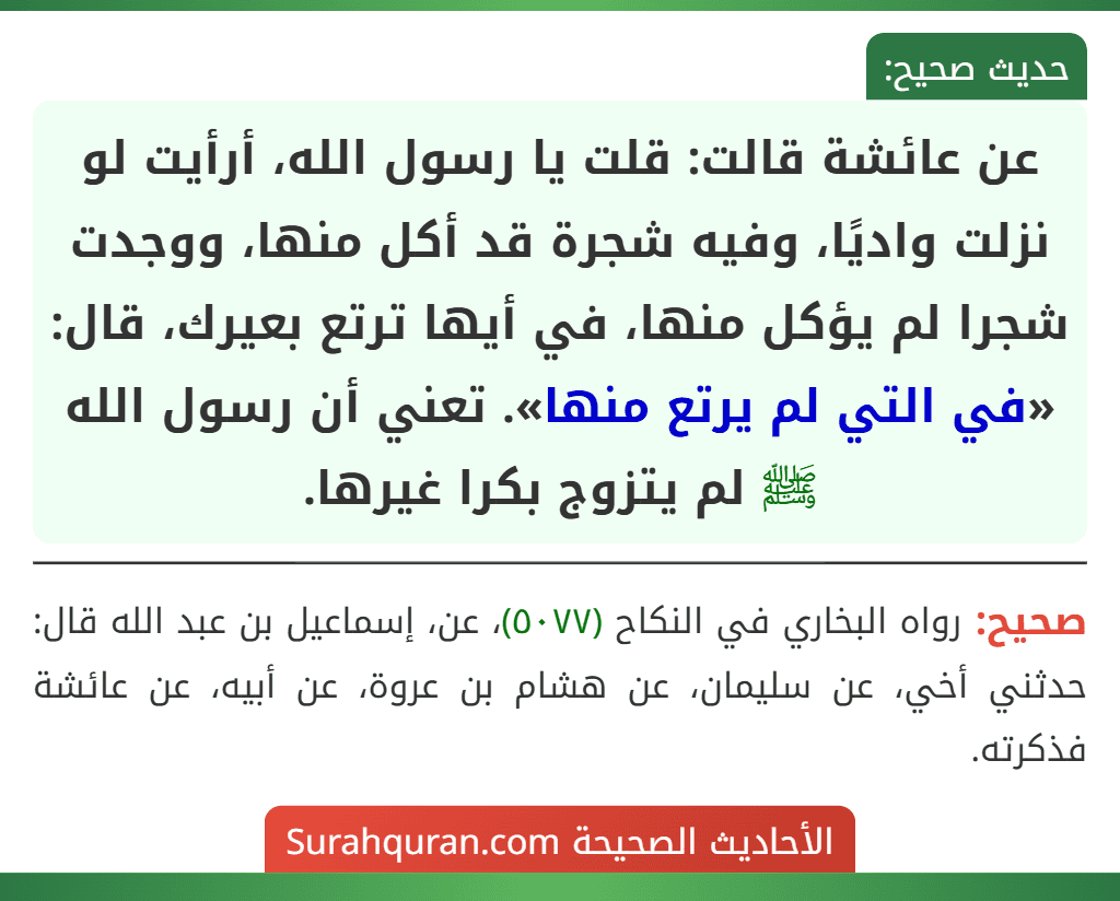 عن عائشة قالت: قلت يا رسول الله، أرأيت لو نزلت واديًا، وفيه شجرة قد أكل منها، ووجدت شجرا لم يؤكل منها، في أيها ترتع بعيرك، قال: «في التي لم يرتع منها». تعني أن رسول الله ﷺ لم يتزوج بكرا غيرها.