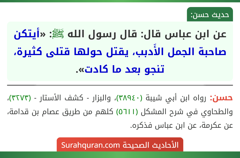 عن ابن عباس قال: قال رسول الله ﷺ: «أيتكن صاحبة الجمل الأَدبب، يقتل حولها قتلى كثيرة، تنجو بعد ما كادت».