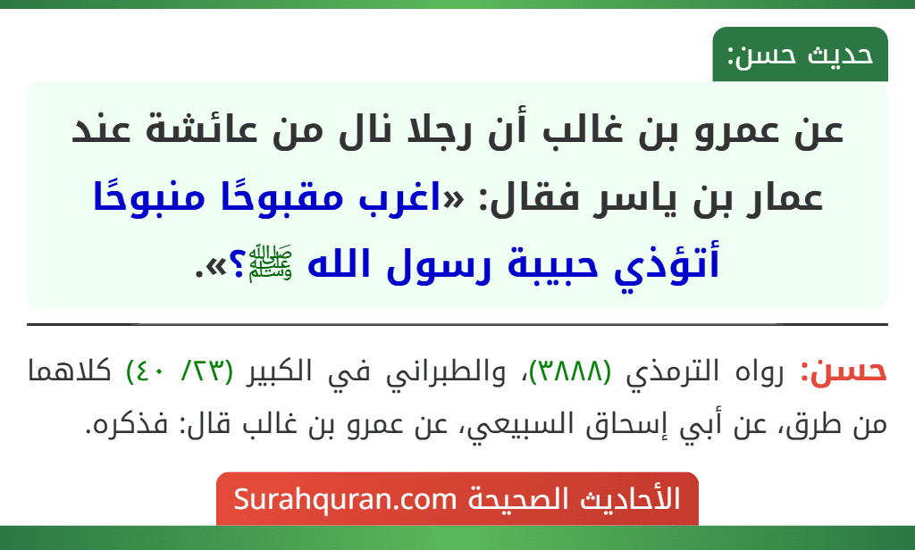 عن عمرو بن غالب أن رجلا نال من عائشة عند عمار بن ياسر فقال: «اغرب مقبوحًا منبوحًا أتؤذي حبيبة رسول الله ﷺ؟».