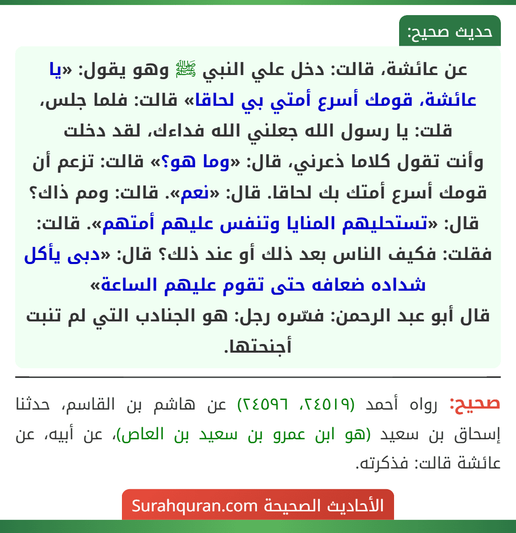 عن عائشة، قالت: دخل علي النبي ﷺ وهو يقول: «يا عائشة، قومك أسرع أمتي بي لحاقا» قالت: فلما جلس، قلت: يا رسول الله جعلني الله فداءك، لقد دخلت
وأنت تقول كلاما ذعرني، قال: «وما هو؟» قالت: تزعم أن قومك أسرع أمتك بك لحاقا. قال: «نعم». قالت: ومم ذاك؟ قال: «تستحليهم المنايا وتنفس عليهم أمتهم». قالت: فقلت: فكيف الناس بعد ذلك أو عند ذلك؟ قال: «دبى يأكل شداده ضعافه حتى تقوم عليهم الساعة»
قال أبو عبد الرحمن: فسّره رجل: هو الجنادب التي لم تنبت أجنحتها.