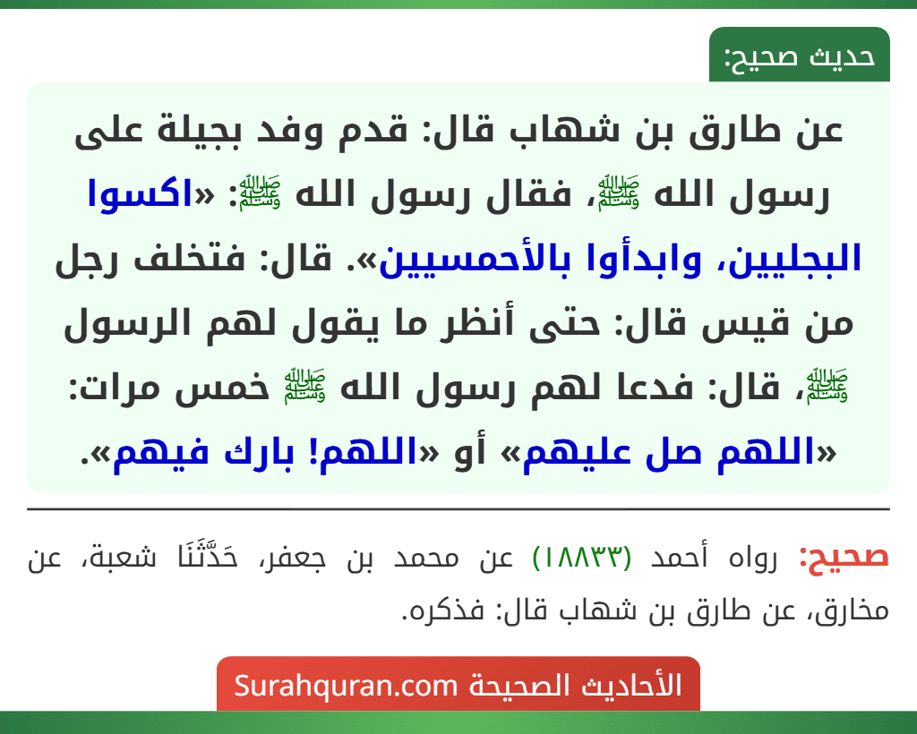 عن طارق بن شهاب قال: قدم وفد بجيلة على رسول الله ﷺ، فقال رسول الله ﷺ: «اكسوا البجليين، وابدأوا بالأحمسيين». قال: فتخلف رجل من قيس قال: حتى أنظر ما يقول لهم الرسول ﷺ، قال: فدعا لهم رسول الله ﷺ خمس مرات: «اللهم صل عليهم» أو «اللهم! بارك فيهم». عن طارق بن شهاب قال: قدم وفد بجيلة على رسول الله ﷺ، فقال رسول الله ﷺ: «اكسوا البجليين، وابدأوا بالأحمسيين». قال: فتخلف رجل من قيس قال: حتى أنظر ما يقول لهم الرسول ﷺ، قال: فدعا لهم رسول الله ﷺ خمس مرات: «اللهم صل عليهم» أو «اللهم! بارك فيهم».
