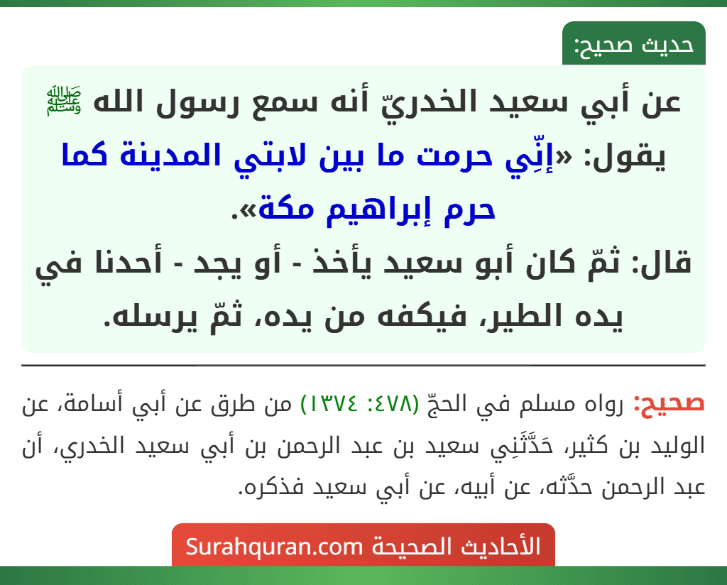عن أبي سعيد الخدريّ أنه سمع رسول الله ﷺ يقول: «إنِّي حرمت ما بين لابتي المدينة كما حرم إبراهيم مكة».
قال: ثمّ كان أبو سعيد يأخذ - أو يجد - أحدنا في يده الطير، فيكفه من يده، ثمّ يرسله.