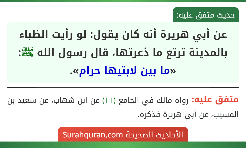 عن أبي هريرة أنه كان يقول: لو رأيت الظباء بالمدينة ترتع ما ذعرتها، قال رسول الله ﷺ: «ما بين لابتيها حرام».