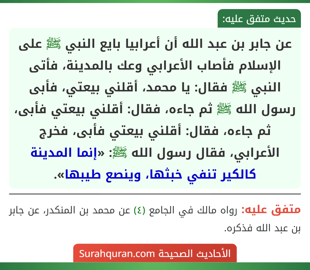 عن جابر بن عبد الله أن أعرابيا بايع النبي ﷺ على الإسلام فأصاب الأعرابي وعك بالمدينة، فأتى النبي ﷺ فقال: يا محمد، أقلني بيعتي، فأبى رسول الله ﷺ ثم جاءه، فقال: أقلني بيعتي فأبى، ثم جاءه، فقال: أقلني بيعتي فأبى، فخرج الأعرابي، فقال رسول الله ﷺ: «إنما المدينة كالكير تنفي خبثها، وينصع طيبها». عن جابر بن عبد الله أن أعرابيا بايع النبي ﷺ على الإسلام فأصاب الأعرابي وعك بالمدينة، فأتى النبي ﷺ فقال: يا محمد، أقلني بيعتي، فأبى رسول الله ﷺ ثم جاءه، فقال: أقلني بيعتي فأبى، ثم جاءه، فقال: أقلني بيعتي فأبى، فخرج الأعرابي، فقال رسول الله ﷺ: «إنما المدينة كالكير تنفي خبثها، وينصع طيبها».