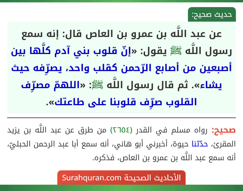 عن عبد اللَّه بن عمرو بن العاص قال: إنه سمع رسول اللَّه ﷺ يقول: «إنّ قلوب بني آدم كلَّها بين أصبعين من أصابع الرّحمن كقلب واحد، يصرِّفه حيث يشاء». ثم قال رسول اللَّه ﷺ: «اللهمّ مصرِّف القلوب صرِّف قلوبنا على طاعتك».