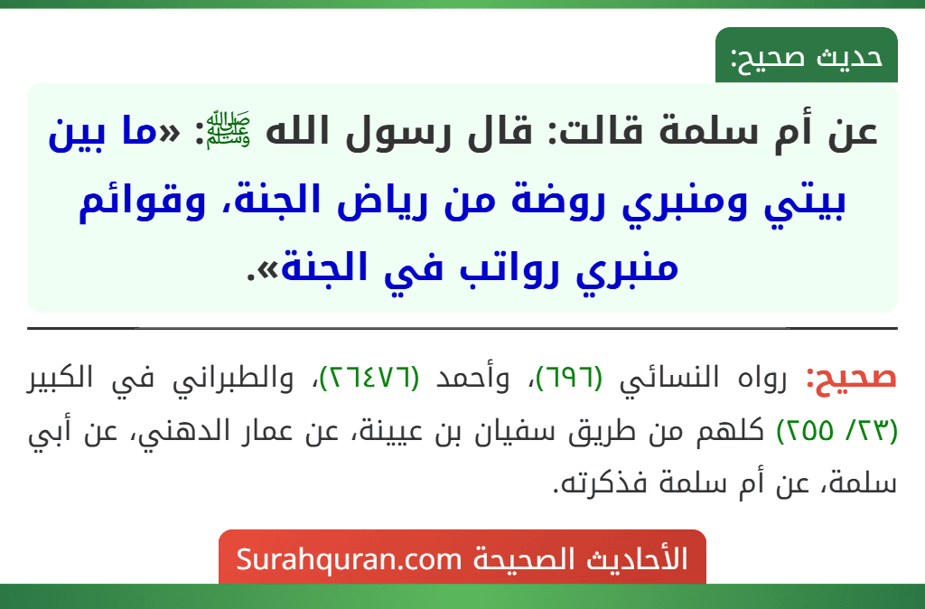 عن أم سلمة قالت: قال رسول الله ﷺ: «ما بين بيتي ومنبري روضة من رياض الجنة، وقوائم منبري رواتب في الجنة». عن أم سلمة قالت: قال رسول الله ﷺ: «ما بين بيتي ومنبري روضة من رياض الجنة، وقوائم منبري رواتب في الجنة».