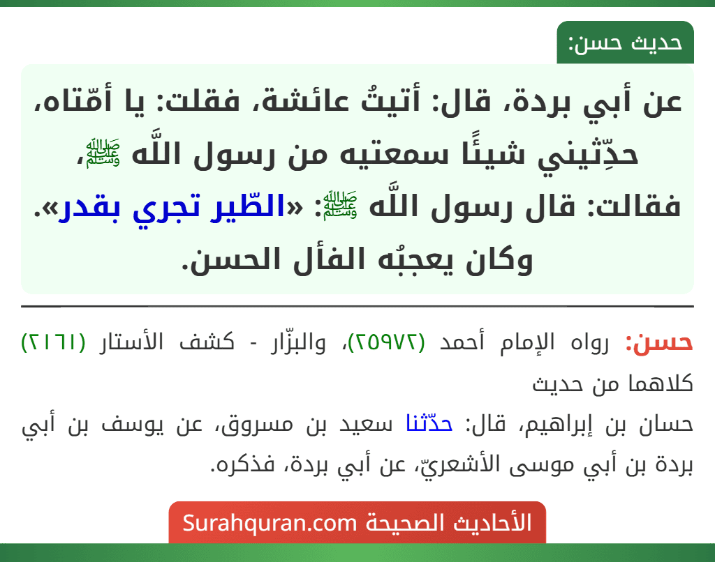 عن أبي بردة، قال: أتيتُ عائشة، فقلت: يا أمّتاه، حدِّثيني شيئًا سمعتيه من رسول اللَّه ﷺ، فقالت: قال رسول اللَّه ﷺ: «الطّير تجري بقدر». وكان يعجبُه الفأل الحسن.
