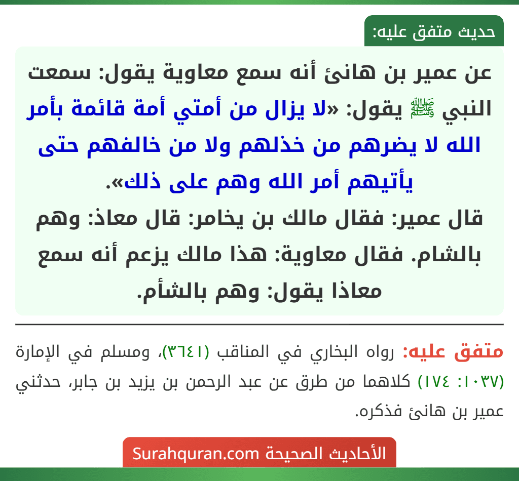 عن عمير بن هانئ أنه سمع معاوية يقول: سمعت النبي ﷺ يقول: «لا يزال من أمتي أمة قائمة بأمر الله لا يضرهم من خذلهم ولا من خالفهم حتى يأتيهم أمر الله وهم على ذلك».
قال عمير: فقال مالك بن يخامر: قال معاذ: وهم بالشام. فقال معاوية: هذا مالك يزعم أنه سمع معاذا يقول: وهم بالشأم. عن عمير بن هانئ أنه سمع معاوية يقول: سمعت النبي ﷺ يقول: «لا يزال من أمتي أمة قائمة بأمر الله لا يضرهم من خذلهم ولا من خالفهم حتى يأتيهم أمر الله وهم على ذلك».
قال عمير: فقال مالك بن يخامر: قال معاذ: وهم بالشام. فقال معاوية: هذا مالك يزعم أنه سمع معاذا يقول: وهم بالشأم.