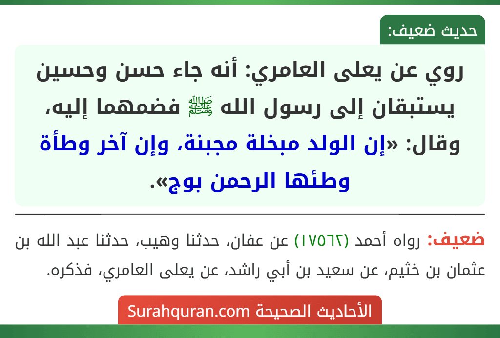 روي عن يعلى العامري: أنه جاء حسن وحسين يستبقان إلى رسول الله ﷺ فضمهما إليه،
وقال: «إن الولد مبخلة مجبنة، وإن آخر وطأة وطئها الرحمن بوج».