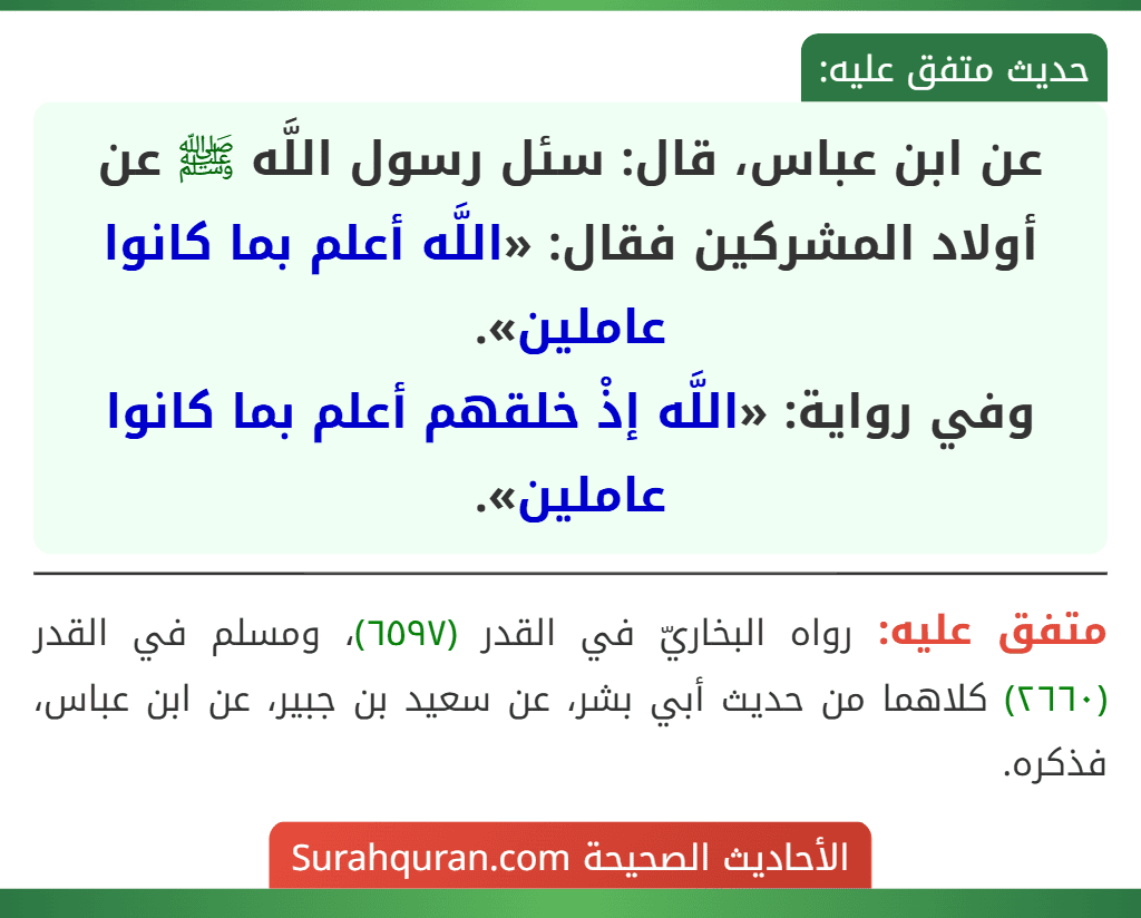 عن ابن عباس، قال: سئل رسول اللَّه ﷺ عن أولاد المشركين فقال: «اللَّه أعلم بما كانوا عاملين».
وفي رواية: «اللَّه إذْ خلقهم أعلم بما كانوا عاملين».