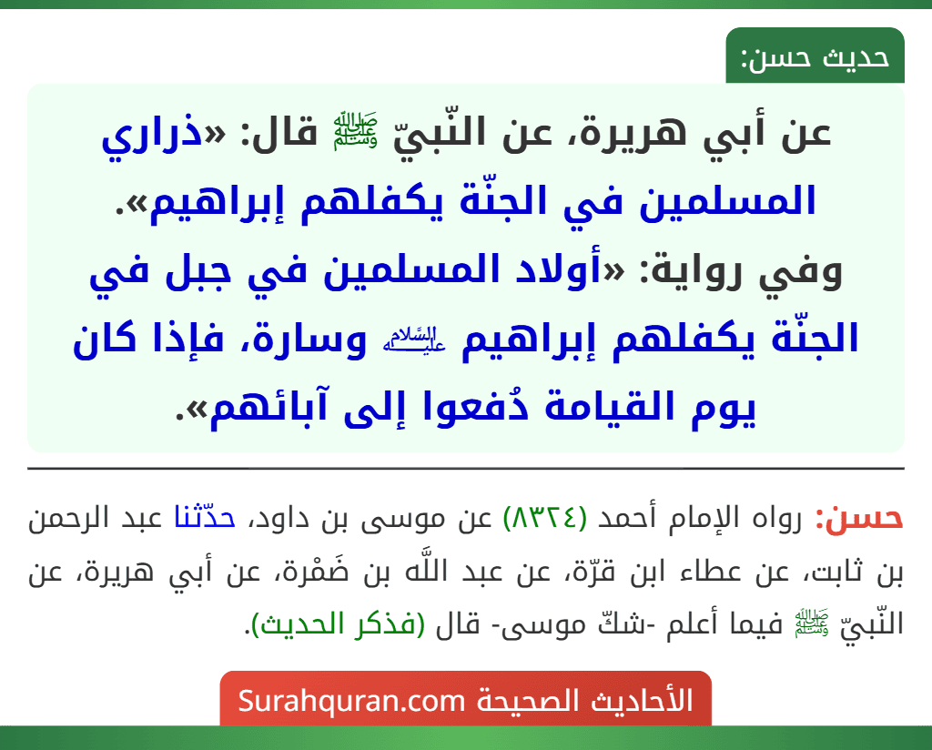 عن أبي هريرة، عن النّبيّ ﷺ قال: «ذراري المسلمين في الجنّة يكفلهم إبراهيم».
وفي رواية: «أولاد المسلمين في جبل في الجنّة يكفلهم إبراهيم ﵇ وسارة، فإذا كان يوم القيامة دُفعوا إلى آبائهم».
