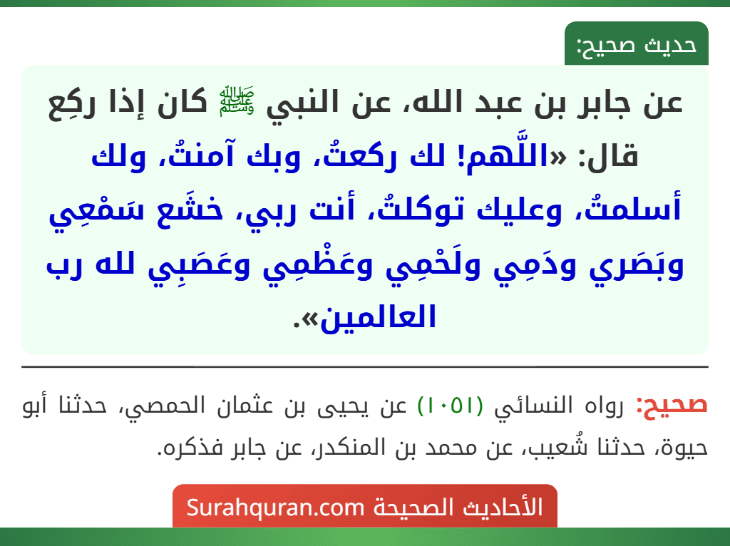 عن جابر بن عبد الله، عن النبي ﷺ كان إذا ركِع قال: «اللَّهم! لك ركعتُ، وبك آمنتُ، ولك أسلمتُ، وعليك توكلتُ، أنت ربي، خشَع سَمْعِي وبَصَري ودَمِي ولَحْمِي وعَظْمِي وعَصَبِي لله رب العالمين».