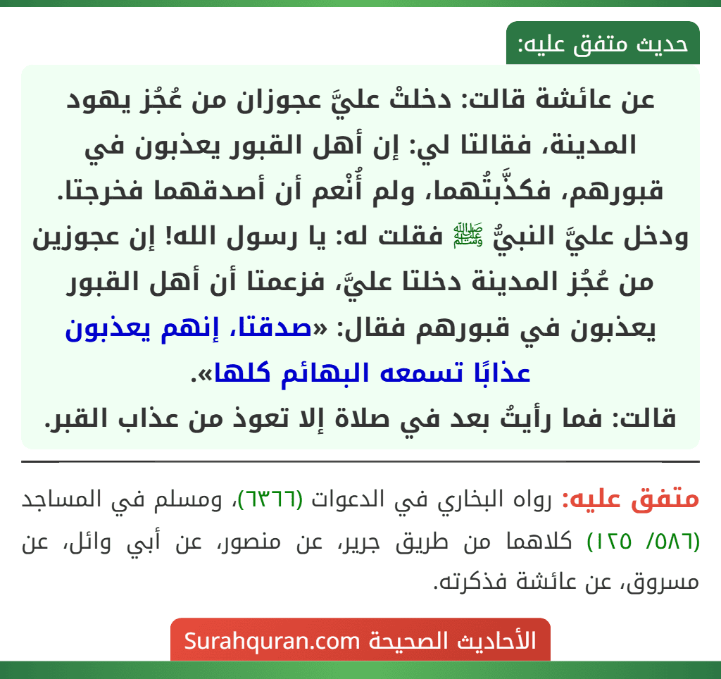 عن عائشة قالت: دخلتْ عليَّ عجوزان من عُجُز يهود المدينة، فقالتا لي: إن أهل القبور يعذبون في قبورهم، فكذَّبتُهما، ولم أُنْعم أن أصدقهما فخرجتا. ودخل عليَّ النبيُّ ﷺ فقلت له: يا رسول الله! إن عجوزين من عُجُز المدينة دخلتا عليَّ، فزعمتا أن أهل القبور يعذبون في قبورهم فقال: «صدقتا، إنهم يعذبون عذابًا تسمعه البهائم كلها».
قالت: فما رأيتُ بعد في صلاة إلا تعوذ من عذاب القبر.