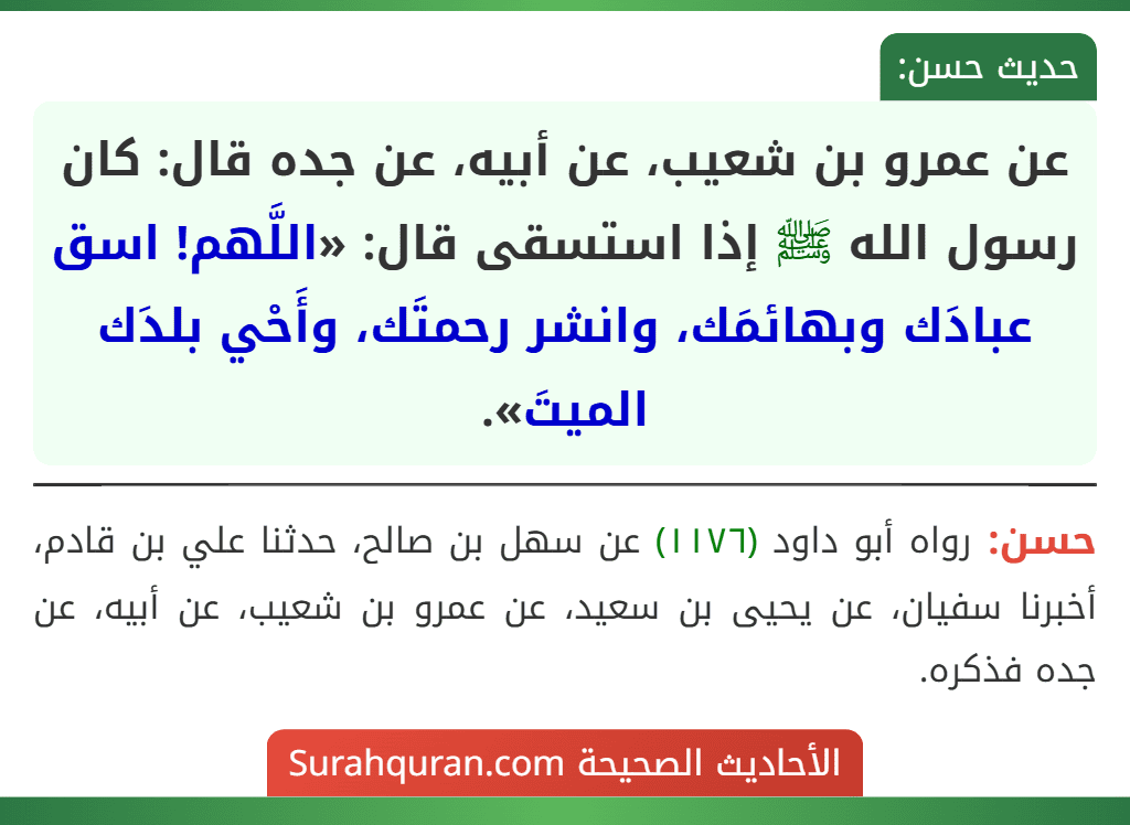عن عمرو بن شعيب، عن أبيه، عن جده قال: كان رسول الله ﷺ إذا استسقى قال: «اللَّهم! اسق عبادَك وبهائمَك، وانشر رحمتَك، وأَحْي بلدَك الميتَ».