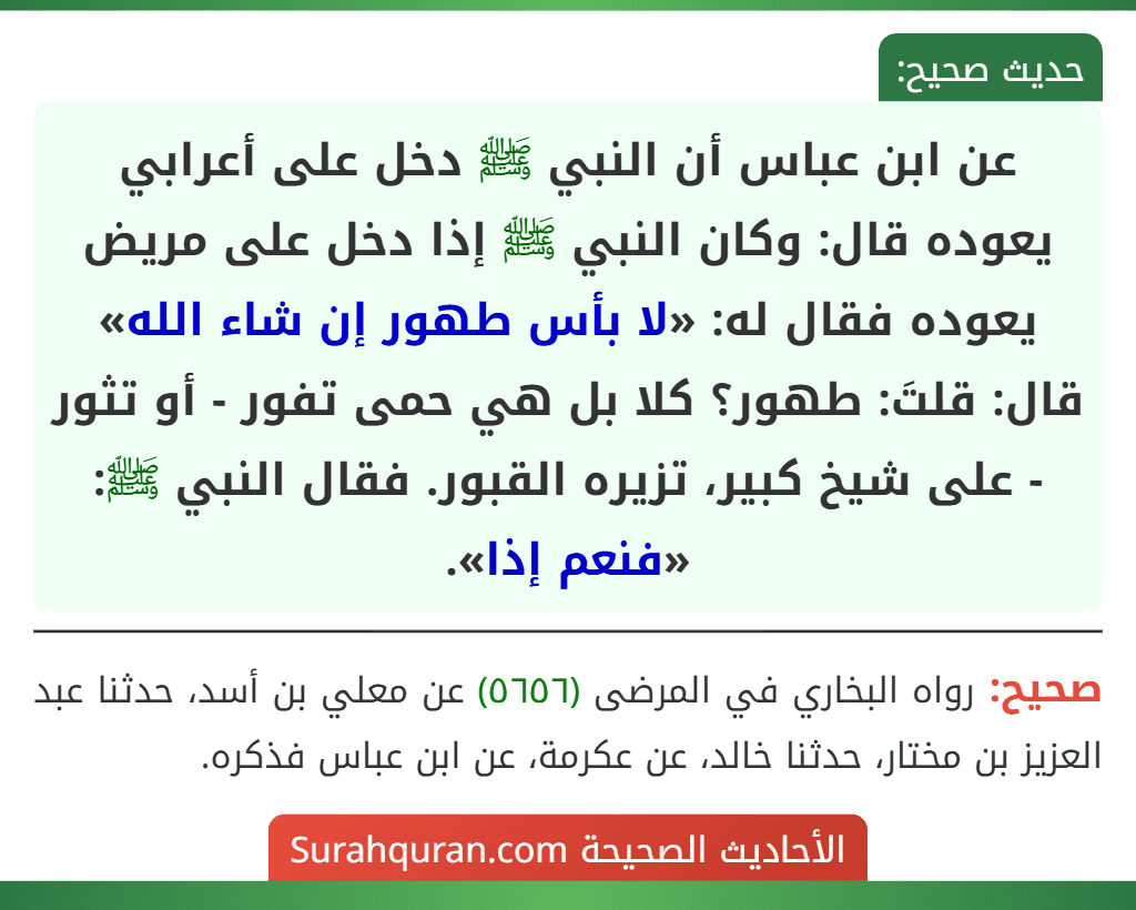 عن ابن عباس أن النبي ﷺ دخل على أعرابي يعوده قال: وكان النبي ﷺ إذا دخل على مريض يعوده فقال له: «لا بأس طهور إن شاء الله» قال: قلتَ: طهور؟ كلا بل هي حمى تفور - أو تثور - على شيخ كبير، تزيره القبور. فقال النبي ﷺ: «فنعم إذا».