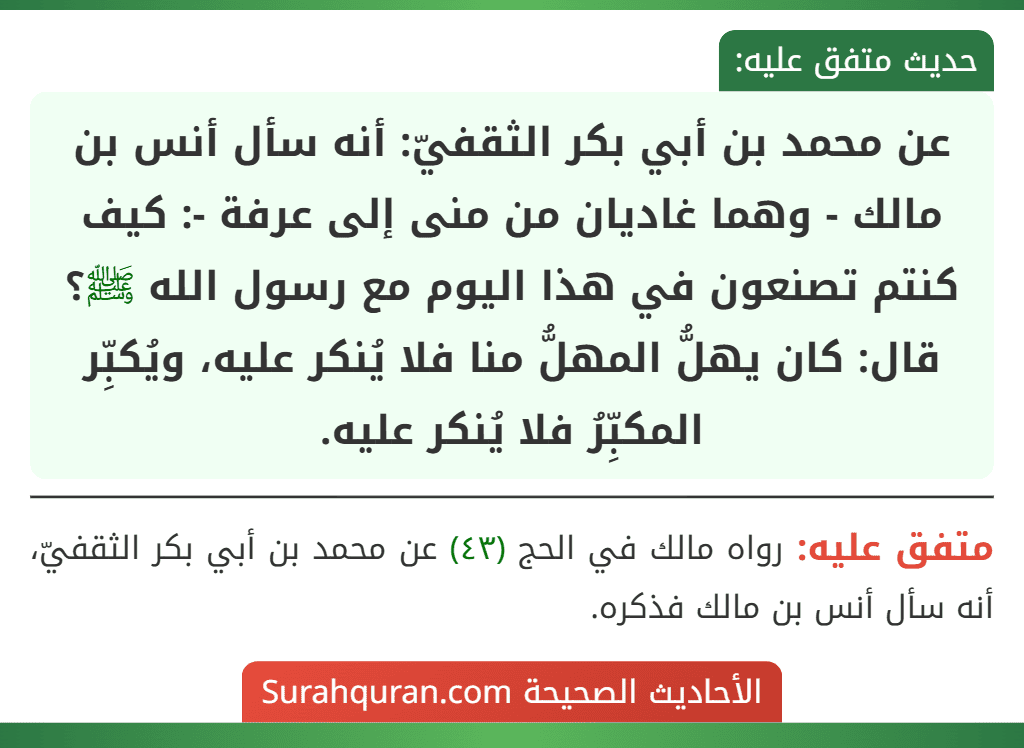 عن محمد بن أبي بكر الثقفيّ: أنه سأل أنس بن مالك - وهما غاديان من منى إلى عرفة -: كيف كنتم تصنعون في هذا اليوم مع رسول الله ﷺ؟ قال: كان يهلُّ المهلُّ منا فلا يُنكر عليه، ويُكبِّر المكبِّرُ فلا يُنكر عليه.
