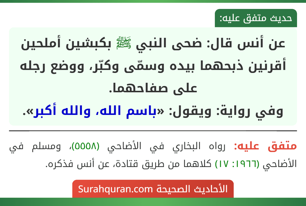 عن أنس قال: ضحى النبي ﷺ بكبشين أملحين أقرنين ذبحهما بيده وسمّى وكبّر، ووضع رجله على صفاحهما.
وفي رواية: ويقول: «باسم الله، والله أكبر».