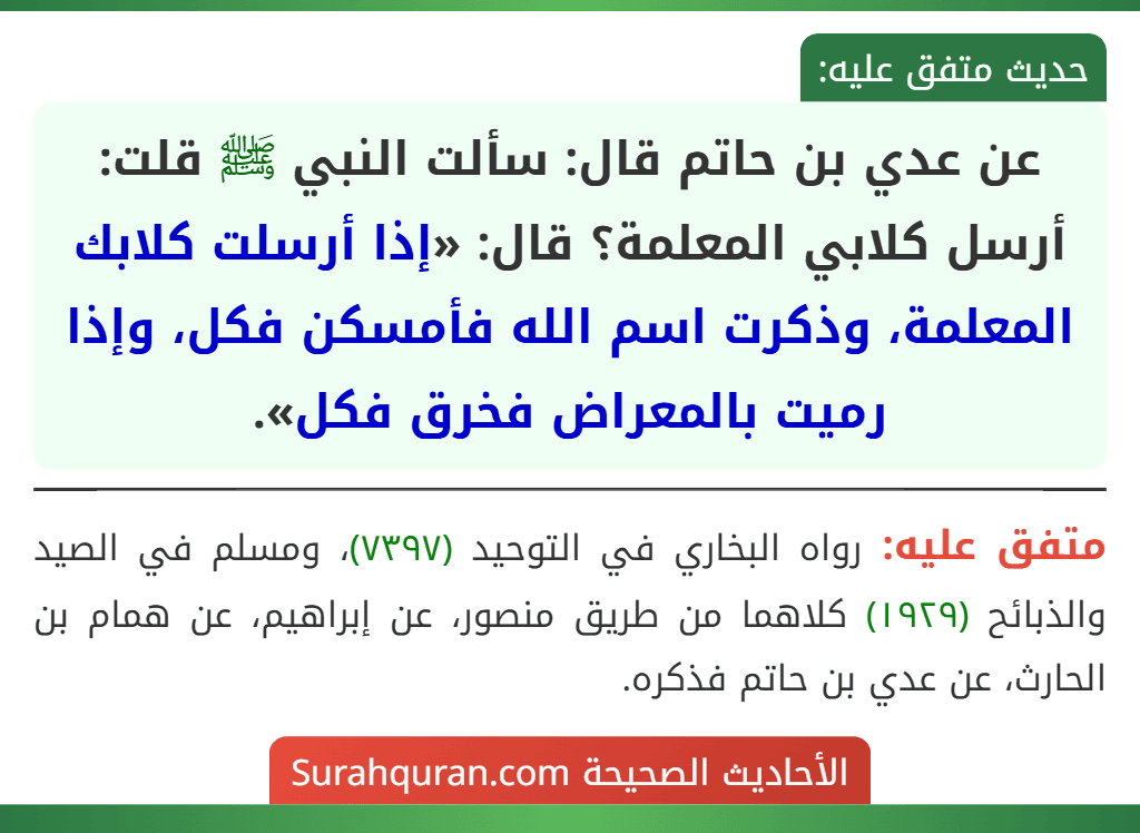 عن عدي بن حاتم قال: سألت النبي ﷺ قلت: أرسل كلابي المعلمة؟ قال: «إذا أرسلت كلابك المعلمة، وذكرت اسم الله فأمسكن فكل، وإذا رميت بالمعراض فخرق فكل».