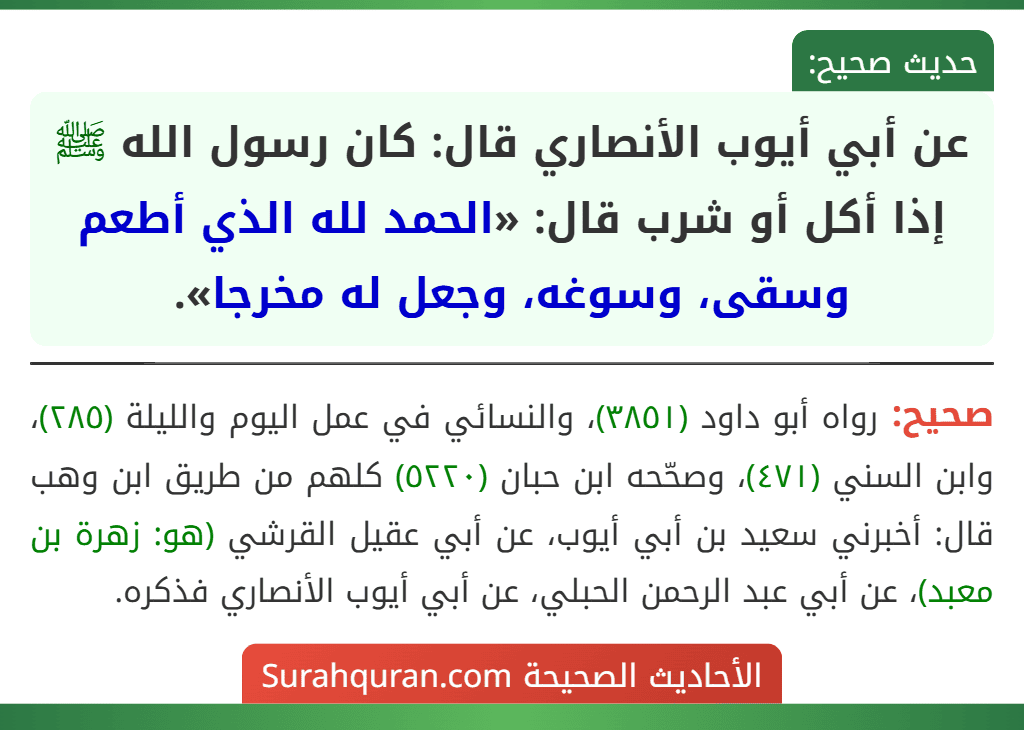 عن أبي أيوب الأنصاري قال: كان رسول الله ﷺ إذا أكل أو شرب قال: «الحمد لله الذي أطعم وسقى، وسوغه، وجعل له مخرجا».