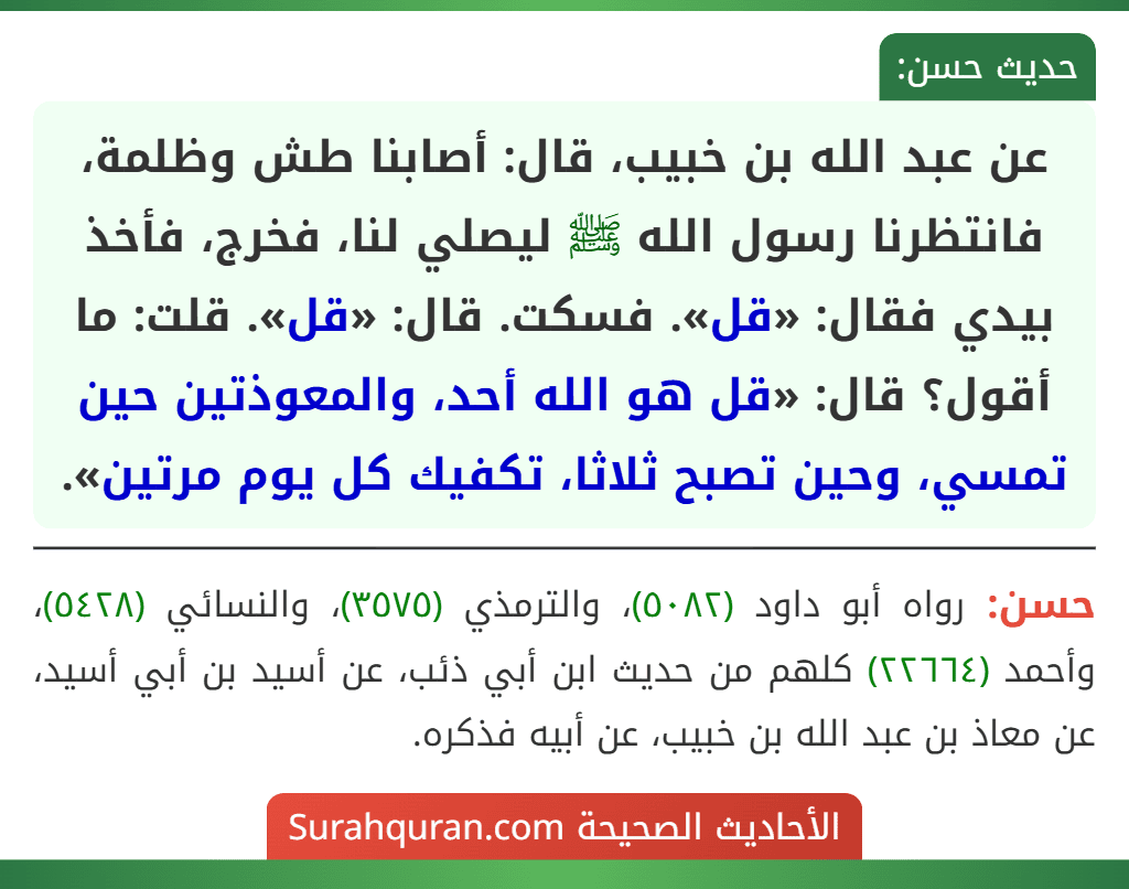 عن عبد الله بن خبيب، قال: أصابنا طش وظلمة، فانتظرنا رسول الله ﷺ ليصلي لنا، فخرج، فأخذ بيدي فقال: «قل». فسكت. قال: «قل». قلت: ما أقول؟ قال: «قل هو الله أحد، والمعوذتين حين تمسي، وحين تصبح ثلاثا، تكفيك كل يوم مرتين».