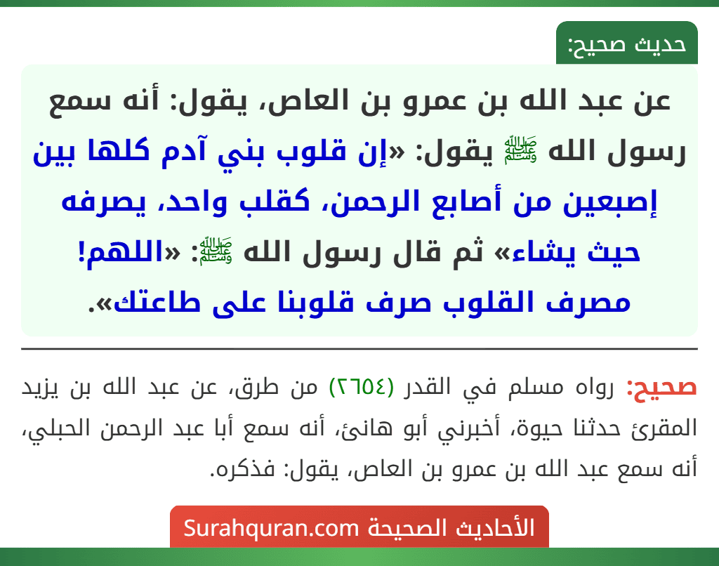 عن عبد الله بن عمرو بن العاص، يقول: أنه سمع رسول الله ﷺ يقول: «إن قلوب بني آدم كلها بين إصبعين من أصابع الرحمن، كقلب واحد، يصرفه حيث يشاء» ثم قال رسول الله ﷺ: «اللهم! مصرف القلوب صرف قلوبنا على طاعتك». عن عبد الله بن عمرو بن العاص، يقول: أنه سمع رسول الله ﷺ يقول: «إن قلوب بني آدم كلها بين إصبعين من أصابع الرحمن، كقلب واحد، يصرفه حيث يشاء» ثم قال رسول الله ﷺ: «اللهم! مصرف القلوب صرف قلوبنا على طاعتك».